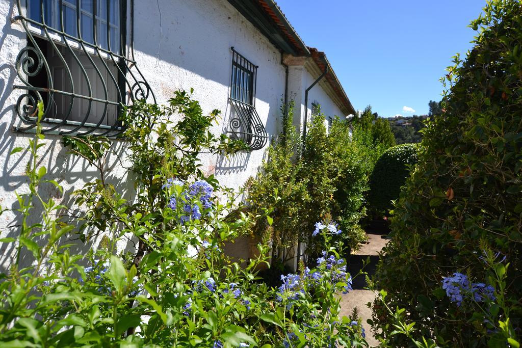 세로리코데바스토 Casa Do Campo - Turismo De Habitacao B&B 외부 사진